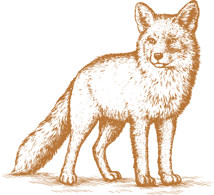 Fox
