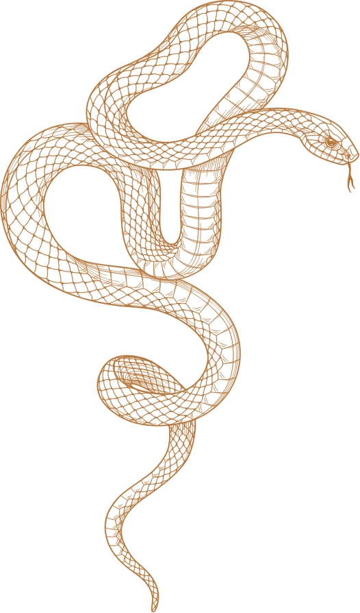 Snake